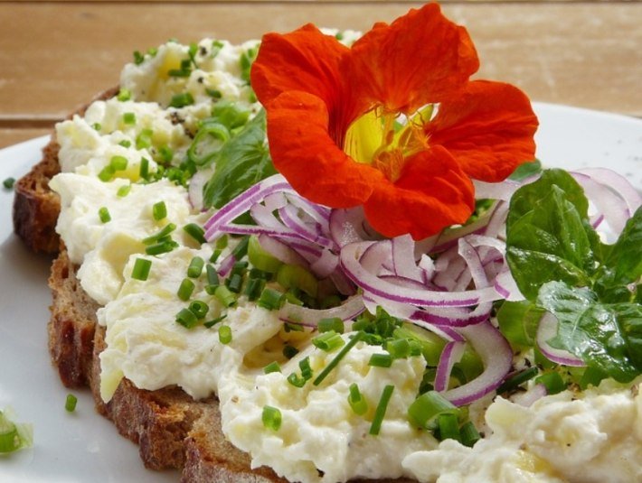 Kräuter für Körper und Seele im Tölzer Land, © Fakultät für Tourismus - Hochschule München - Digitales Marketing & Management Kräuter für Körper und Seele im Tölzer Land, © Fakultät für Tourismus - Hochschule München - Digitales Marketing & Management