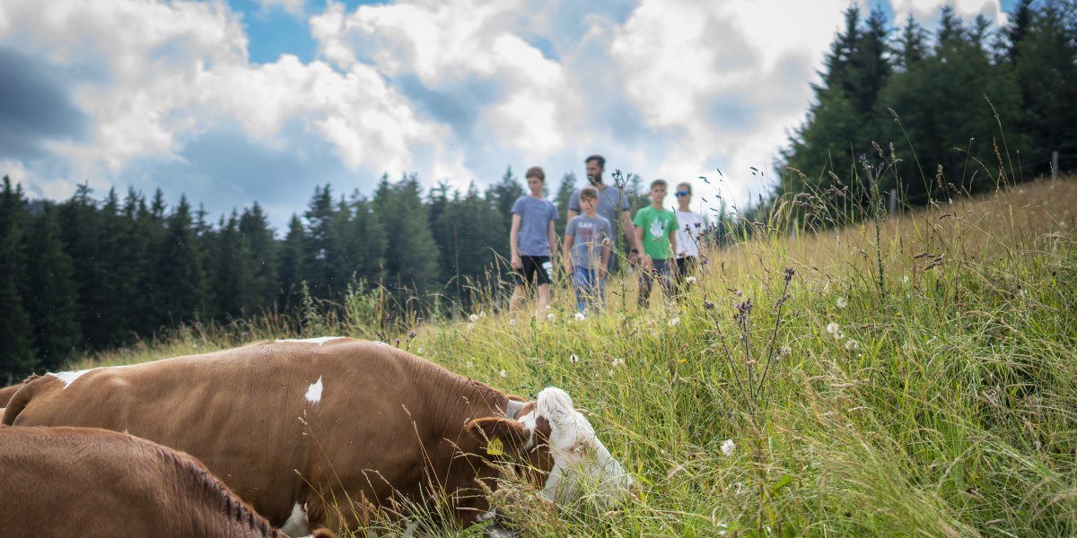 Blomberg, © Stadt Bad Tölz Blomberg, © Stadt Bad Tölz