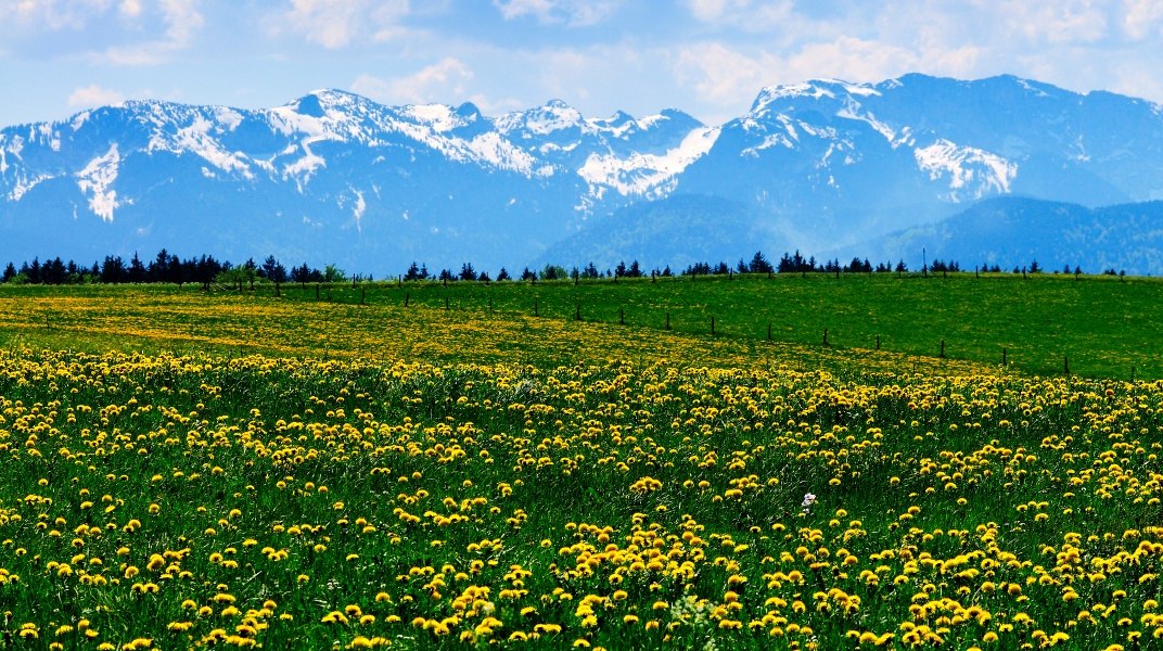 Ausblick auf die Berge, © Stadt Bad Tölz Ausblick auf die Berge, © Stadt Bad Tölz