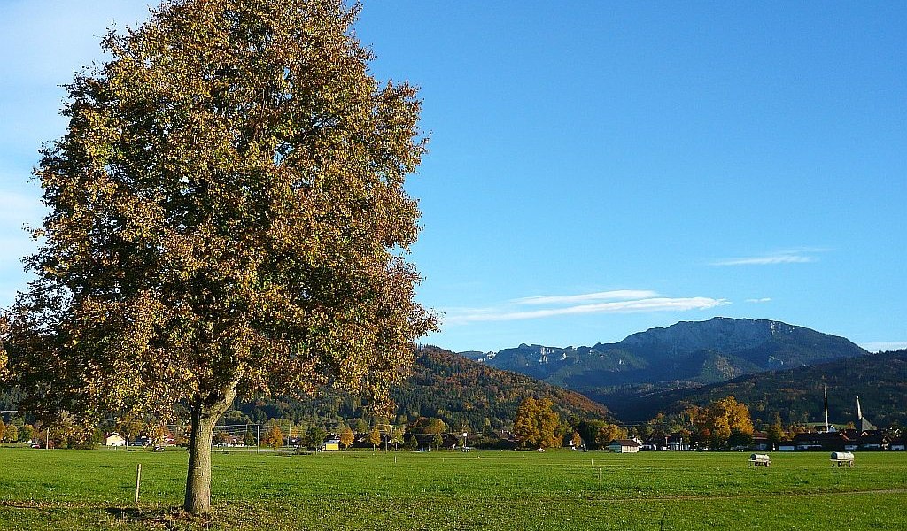 Wiesenweg zwischen Benediktbeuern und Bichl, © Gästeinformation Benediktbeuern Wiesenweg zwischen Benediktbeuern und Bichl, © Gästeinformation Benediktbeuern