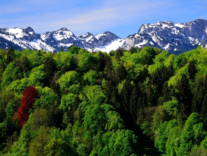 Deutschland bewegt sich - Parcours (HK25), © Stadt Bad Tölz Deutschland bewegt sich - Parcours (HK25), © Stadt Bad Tölz