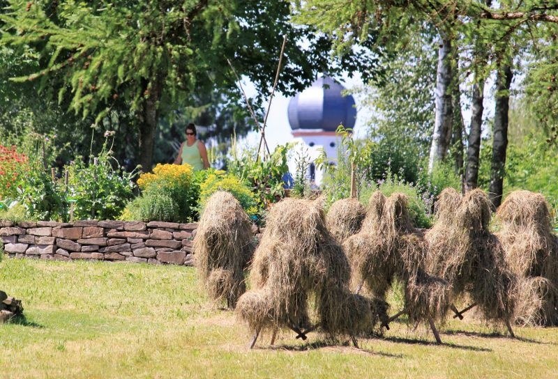 Kräuter-Erlebnisse, © Unbekannt Kräuter-Erlebnisse, © Unbekannt