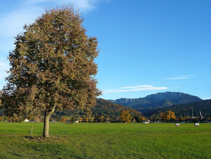 Wiesenweg zwischen Benediktbeuern und Bichl, © Gästeinformation Benediktbeuern