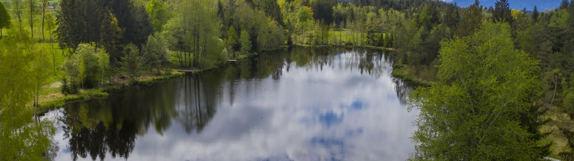Buchener Weiher, © Lisa Bahnmüller