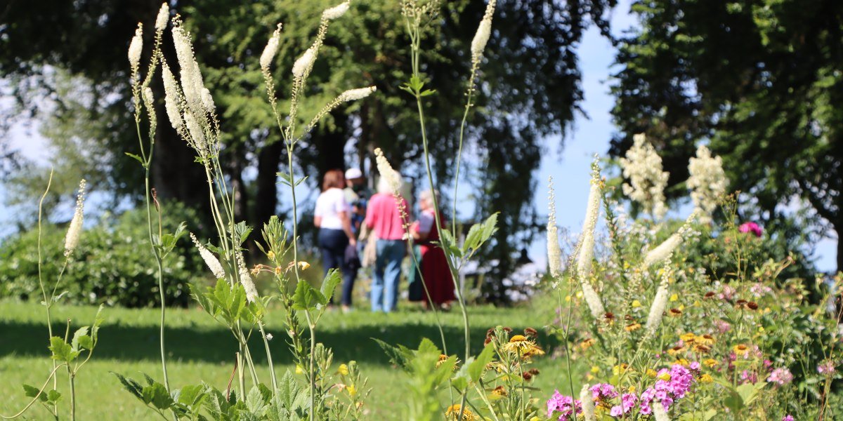 Im Kr&auml;uterpark finden regelm&auml;&szlig;ig Kr&auml;uterpark-F&uuml;hrungen mit Anneliese Stockinger statt., &copy; T&ouml;lzer Land Tourismus