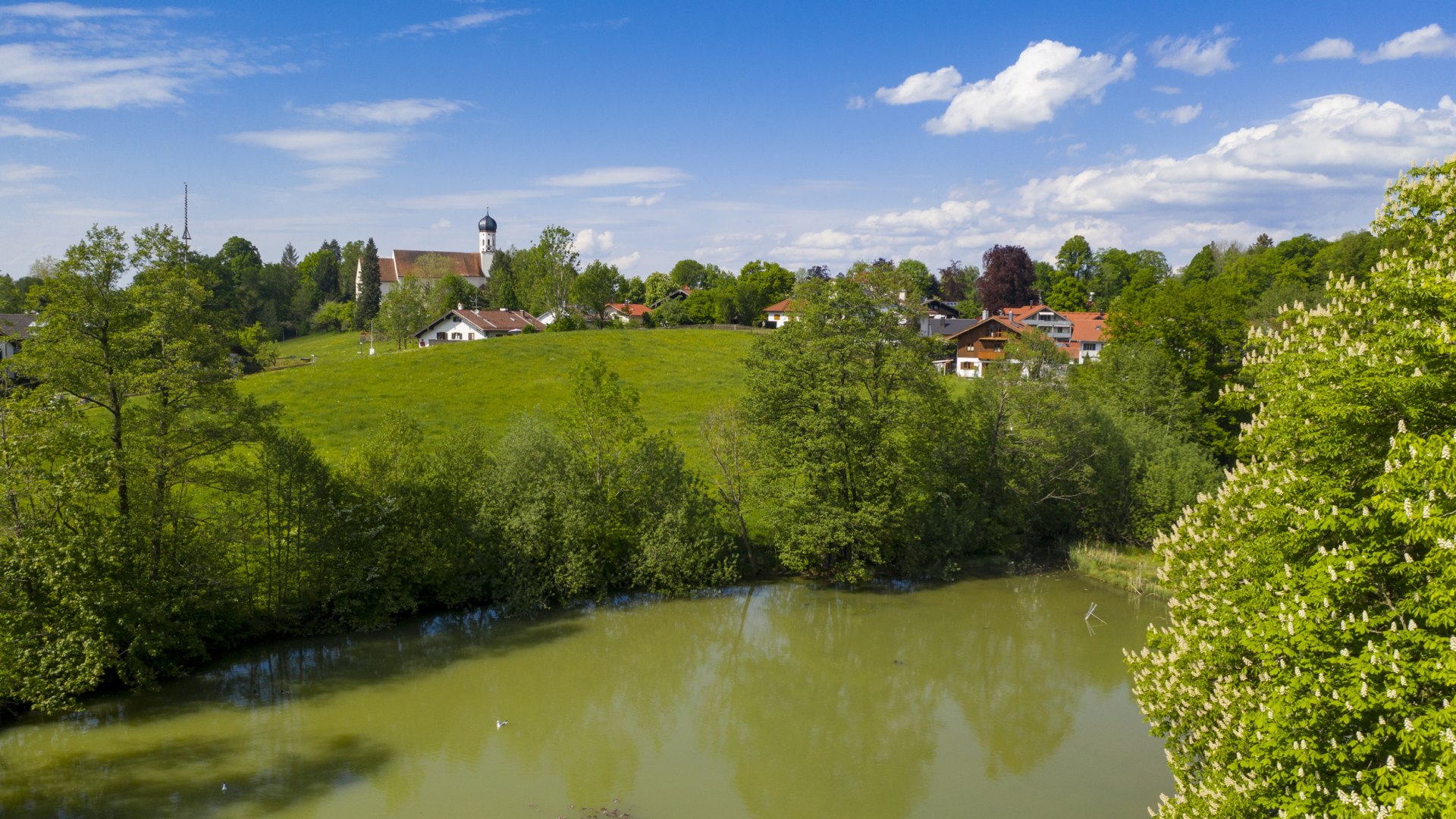 Kaltenmarkter Weiher, © Lisa Bahnmüller