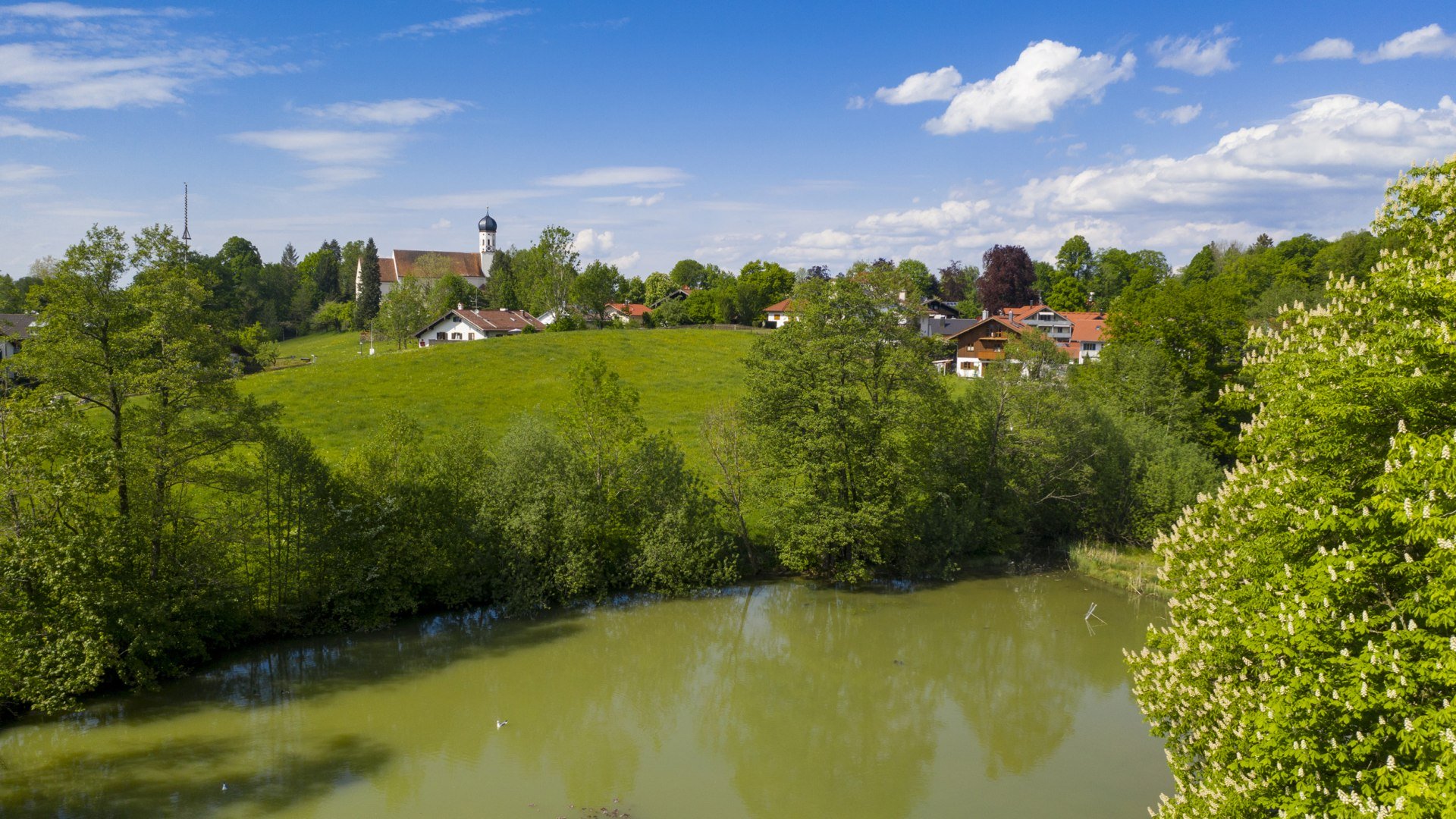 Kaltenmarkter Weiher, © Lisa Bahnmüller
