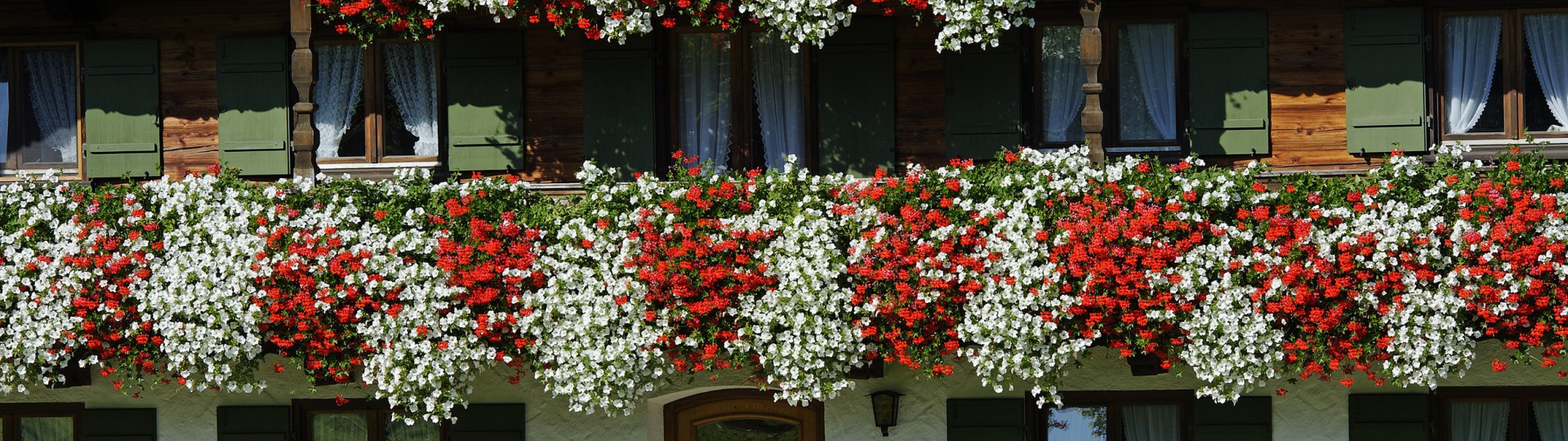 Balkonblumen Bauernhaus, &copy; Lisa Bahnm&uuml;ller