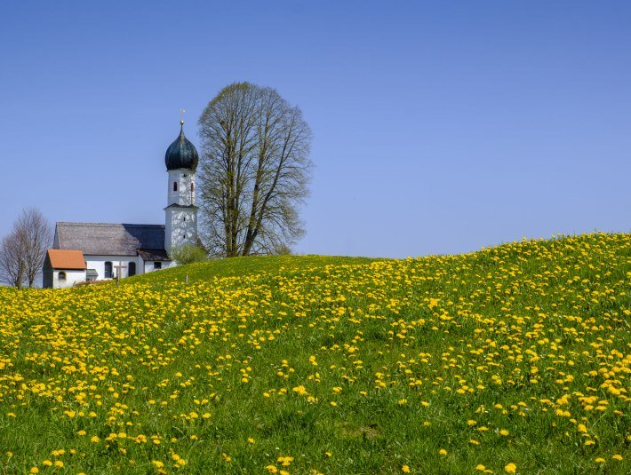 L&ouml;wenzahnwiese mit Kapelle, &copy; Lisa Bahnm&uuml;ller