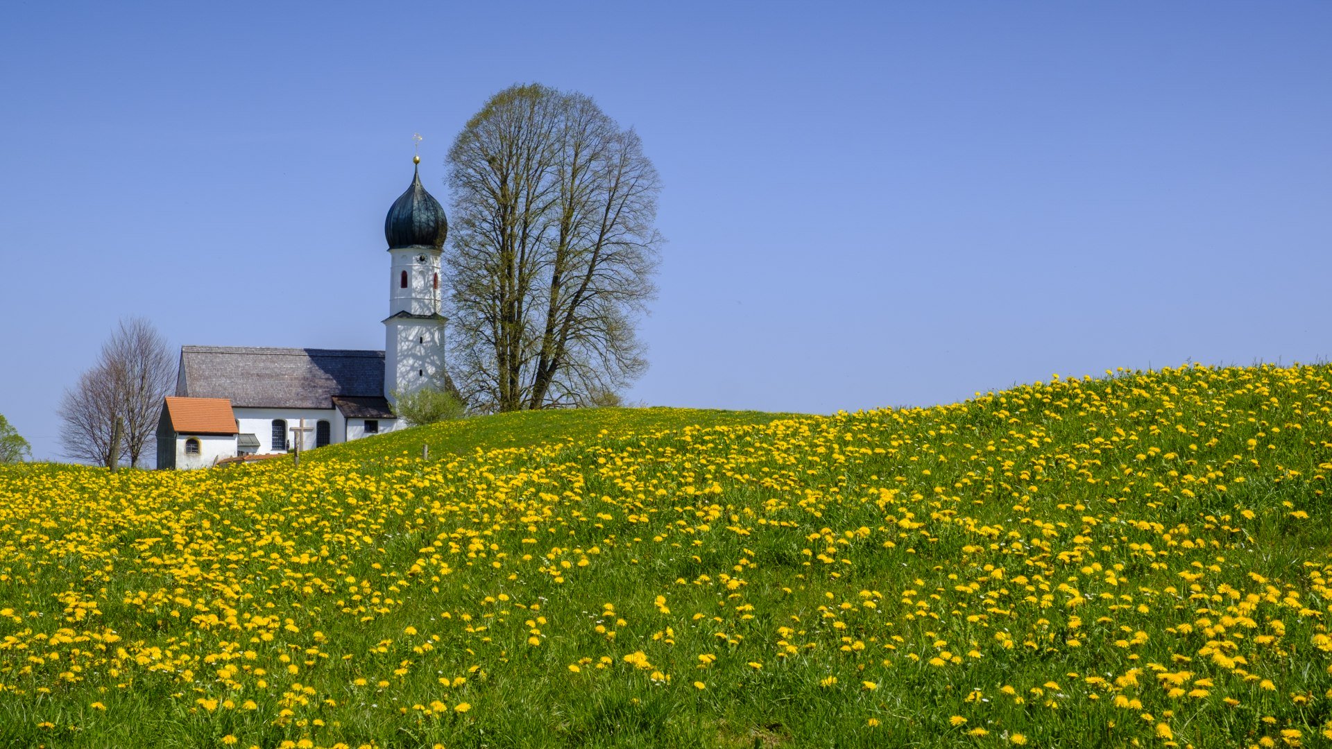 Oberbuchen Frühling, © Lisa Bahnmüller