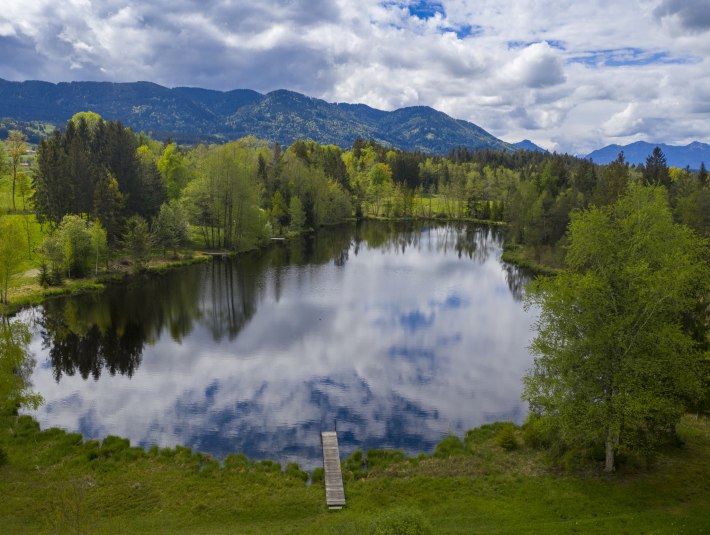 Schönauer Weiher, © Lisa Bahnmüller