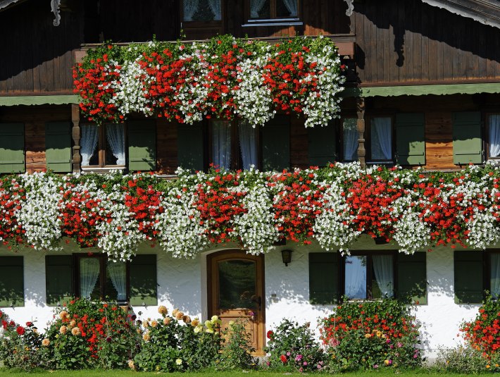 Balkonblumen Bauernhaus, &copy; Lisa Bahnm&uuml;ller