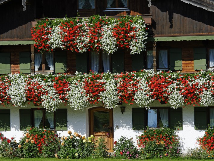 Balkonblumen Bauernhaus, © Lisa Bahnmüller