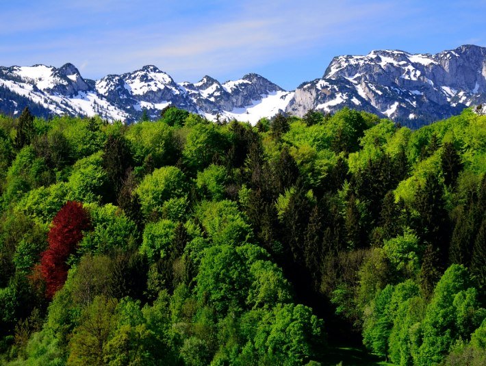 Deutschland bewegt sich - Parcours (HK25), &copy; Stadt Bad T&ouml;lz