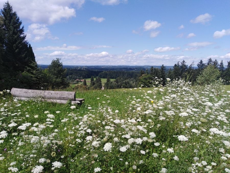 Aussicht von Bad Heilbrunn Ortsmitte, © Gästeinformation