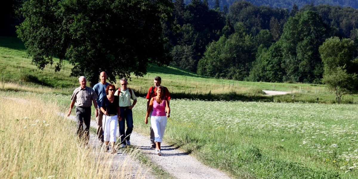 Von der Ramsau zum Aussichtspunkt, © Gästeinformation Bad Heilbrunn