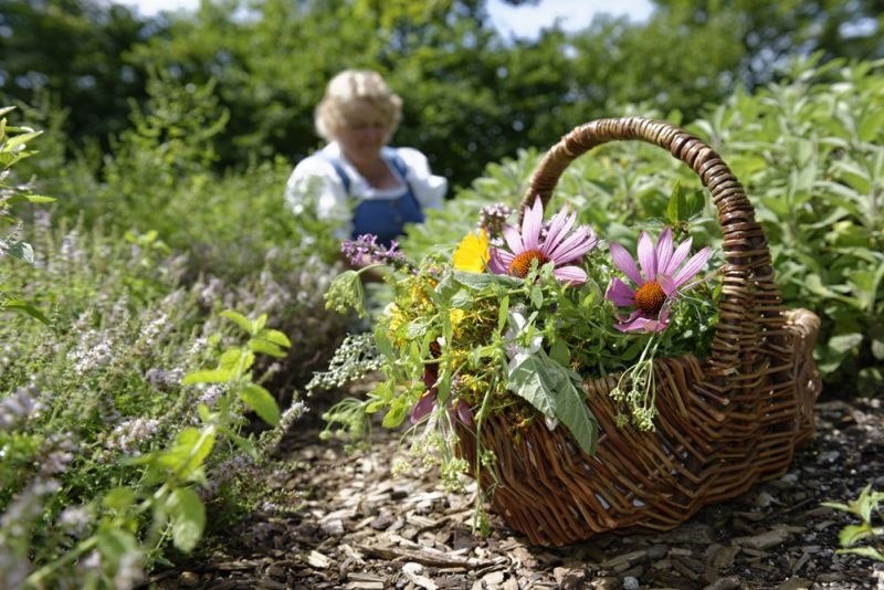 F&uuml;hrungen und Workshops im Kr&auml;uter-Erlebnis-Park, &copy; Unbekannt